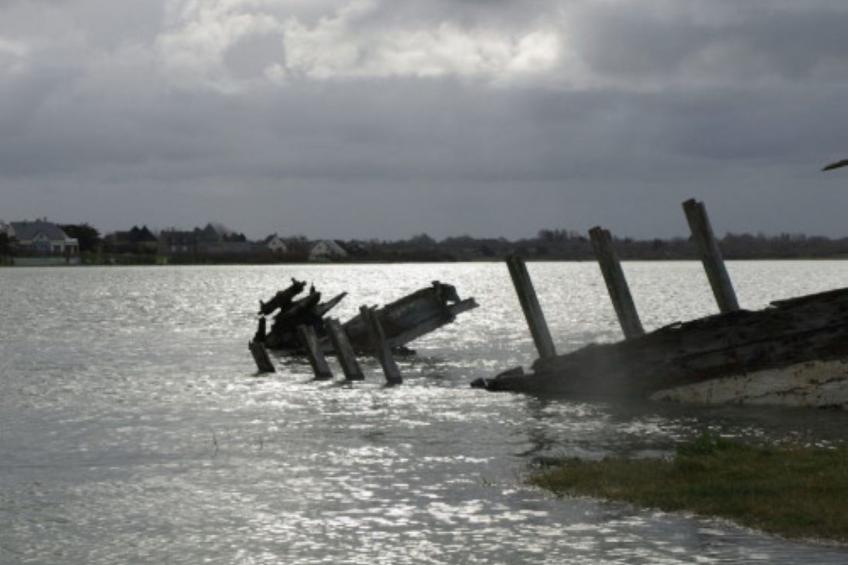 Le Bois aux Ecureuils (Eichhörnchenwald) - foto 31