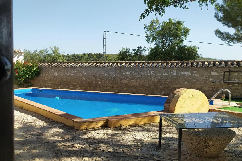 El Molino - foto 10