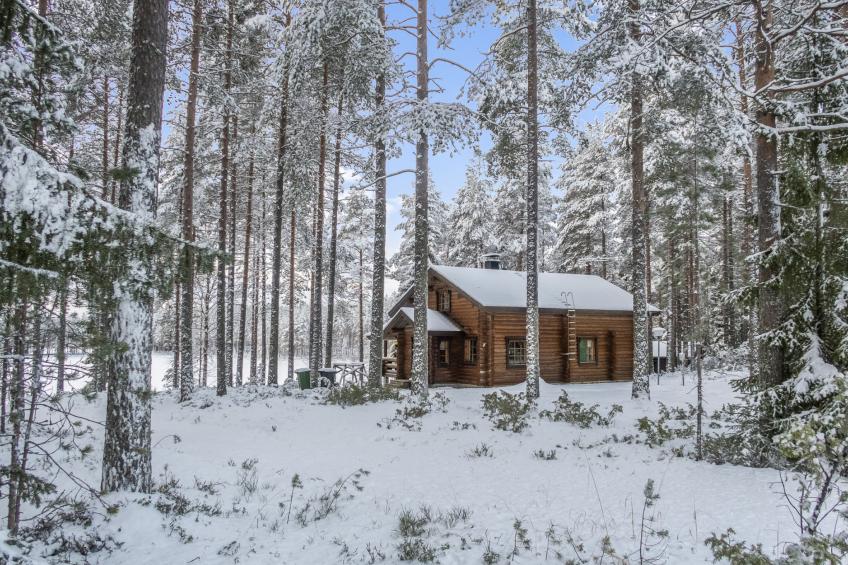 Välikosken karpalo - foto 40