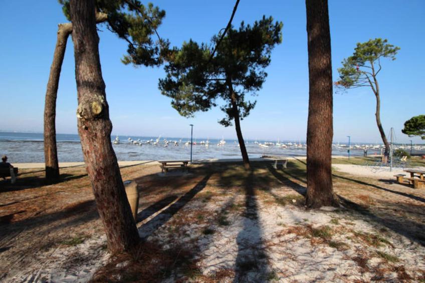 Maison à Andernos-les-Bains - foto 17