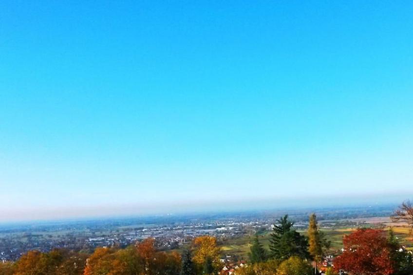 Traumwohnung - foto 16