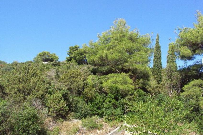 Schönes Apartment in Zaglav mit Außenkamin - foto 48