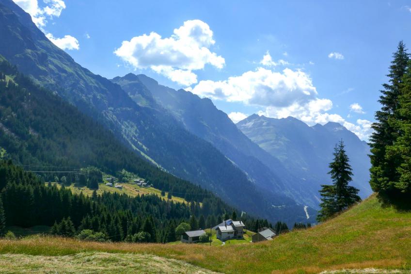 Nido delle Alpi - foto 28
