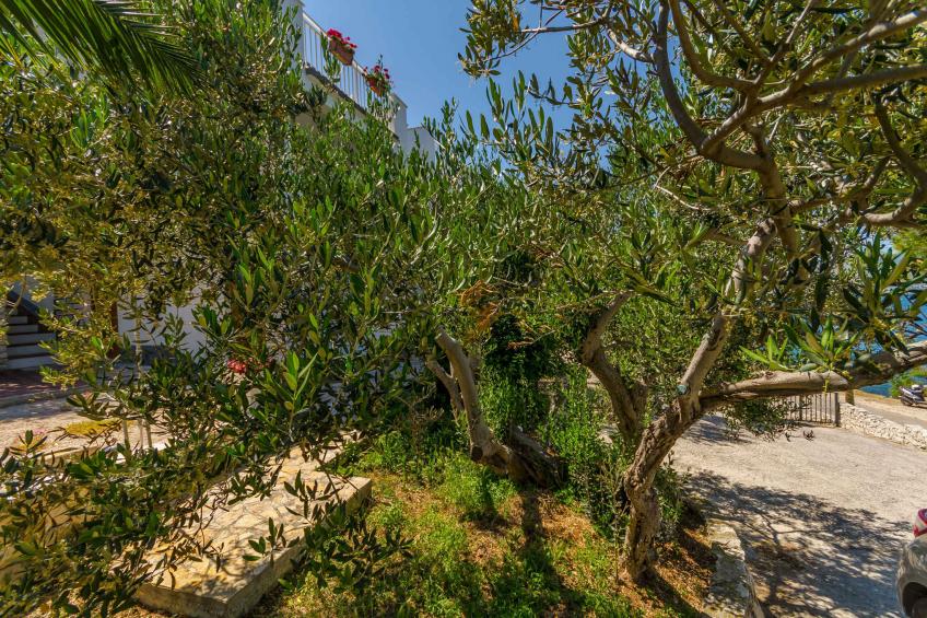 Holiday apartment with air conditioning, balcony and sea view in Slatine - BF-9GZB3 - foto 11