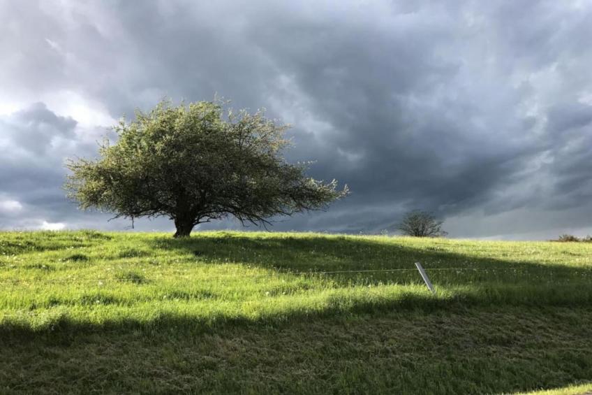 Schwarzhausen - foto 33