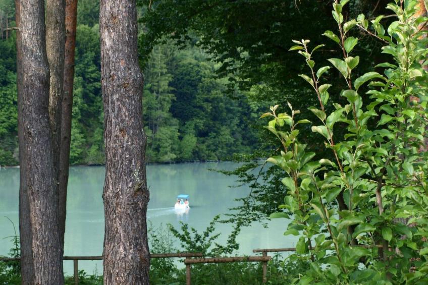 Haus Nicole - foto 15