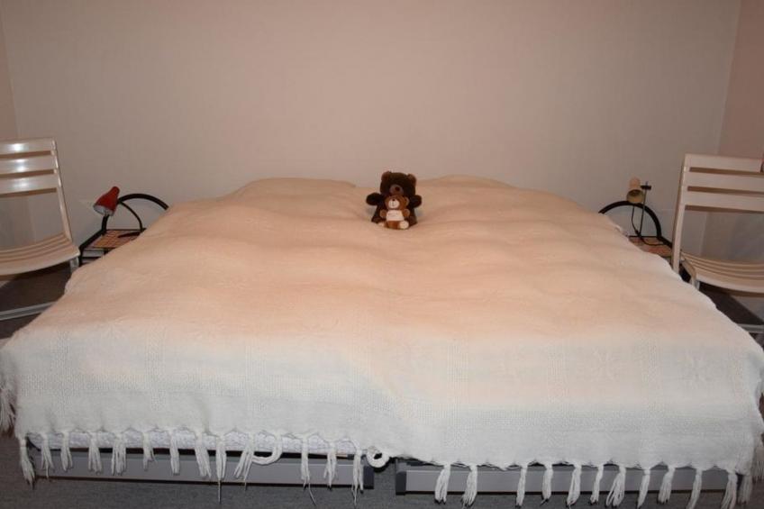 Favre OG Ost Appartement/Fewo, Dusche oder Bad, WC, 1 Schlafraum 2-Bett-Wohnung - foto 15