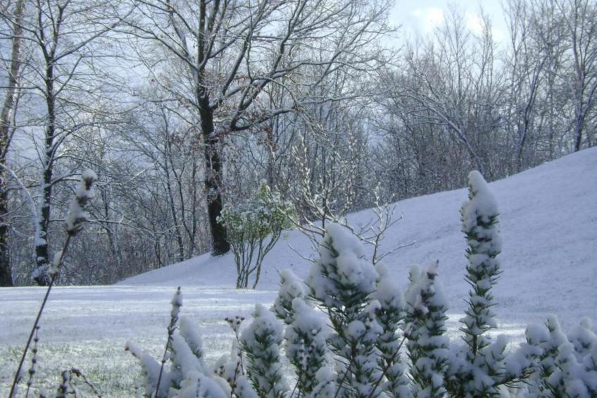 Casa delle Alpi - foto 29