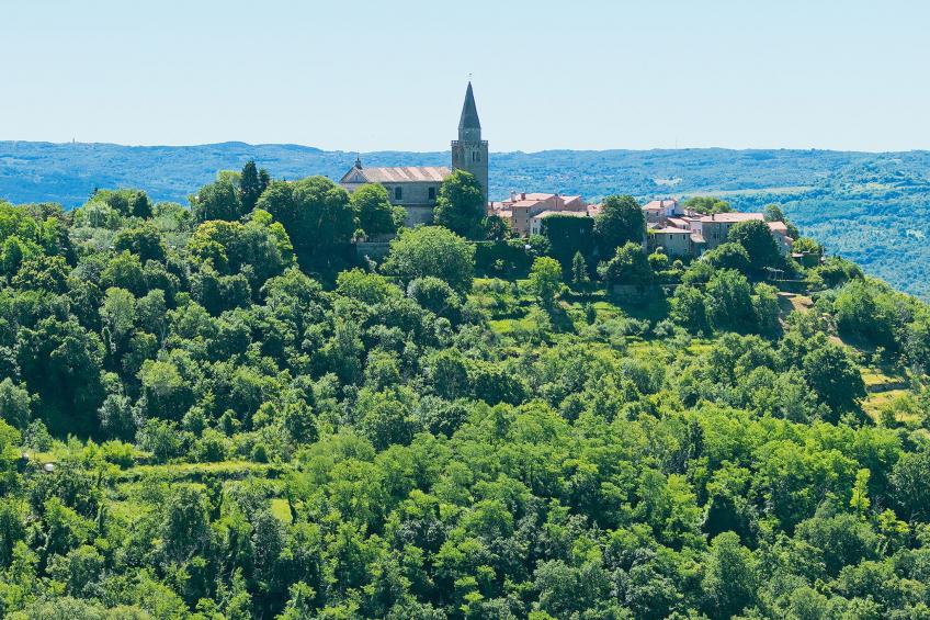 Margherita - foto 34