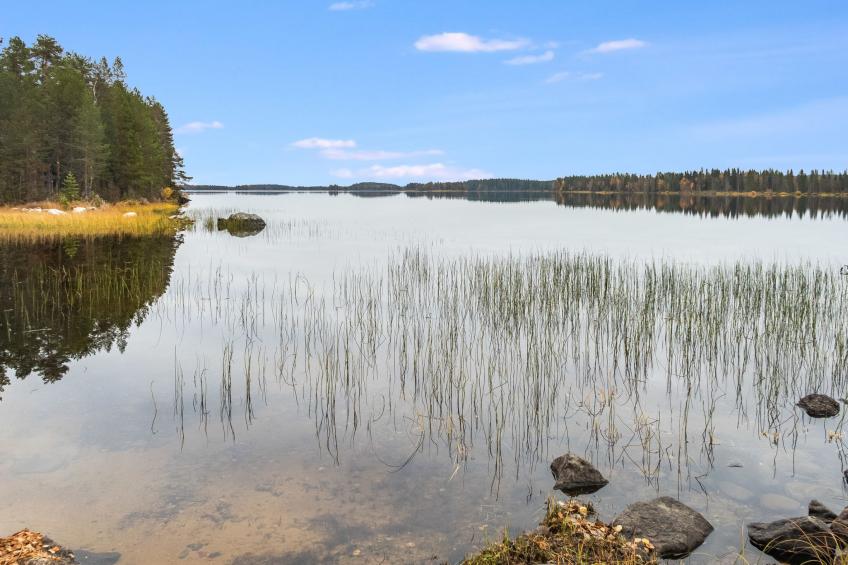 Pähkinä - foto 3