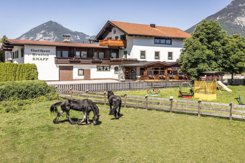 Holiday flats Gasthof Knapp, Strass im Zillertal|Wohnung Wiese
