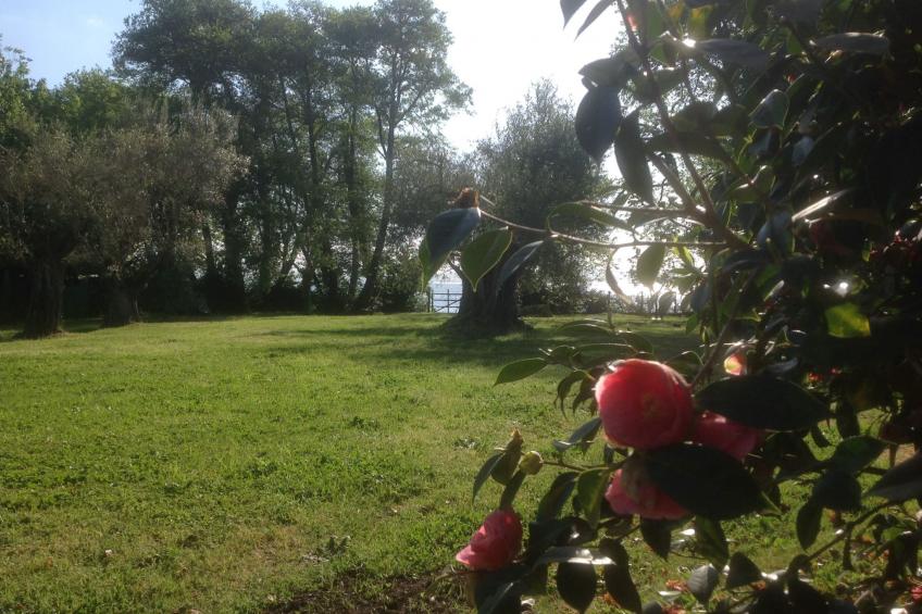 mit Wasserblick - foto 7