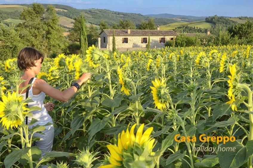 Das Walnusshaus - foto 32