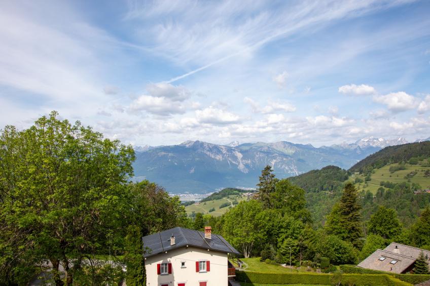 Ambassadeur 1 - foto 34