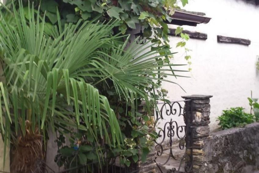 Haus San Cristoforo - Atelier - foto 4