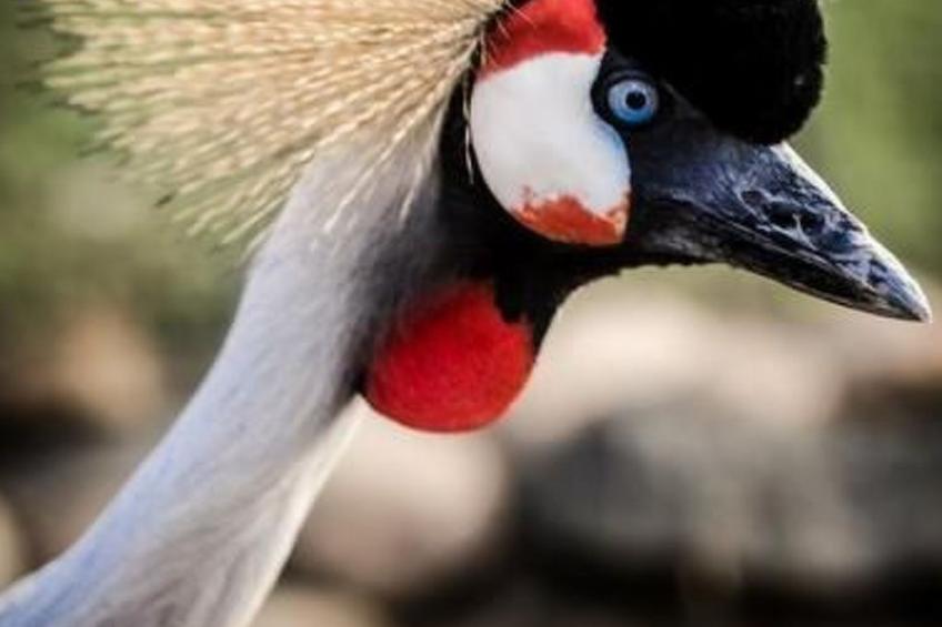 Reiterstübchen - foto 12