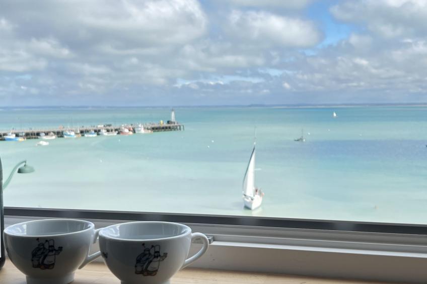 Vue Eméraude - foto 6