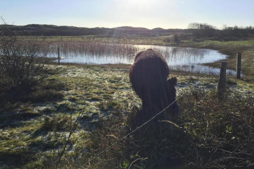 Kustpark Texel 7 - foto 28