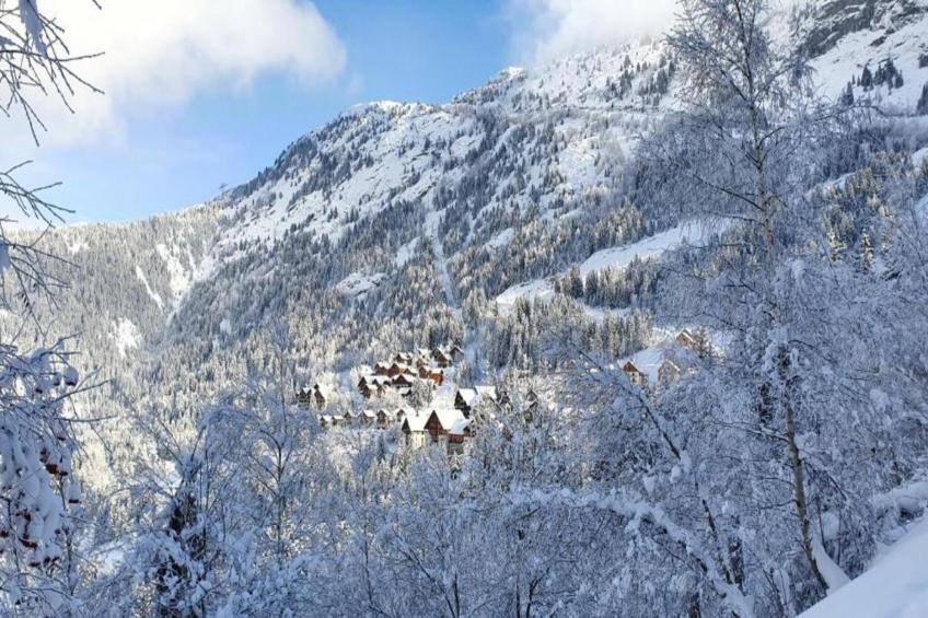 Maison de vacances - OZ EN OISANS - foto 16