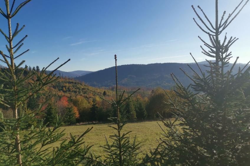 in den Bergen, Villa mit Panoramaterrasse - foto 34