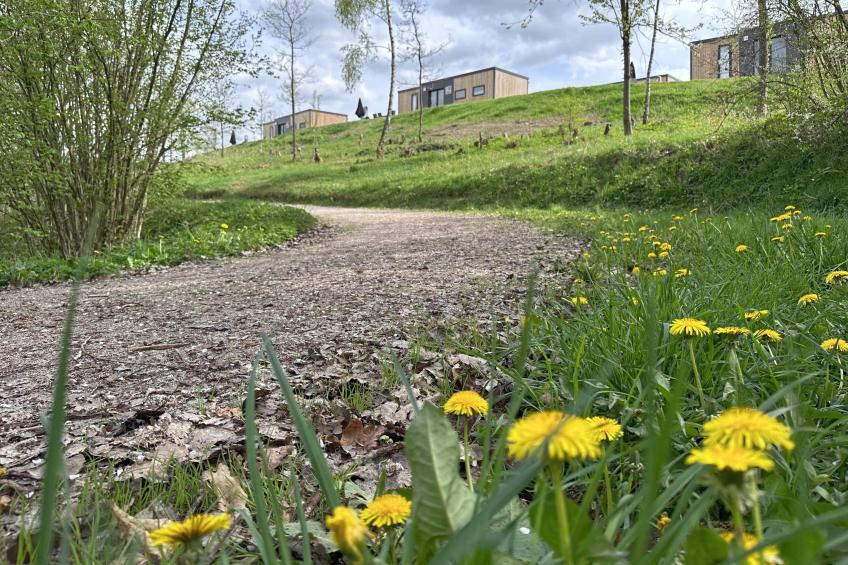 Feriendorf Seeblick - Tiny Nr 8 - foto 29