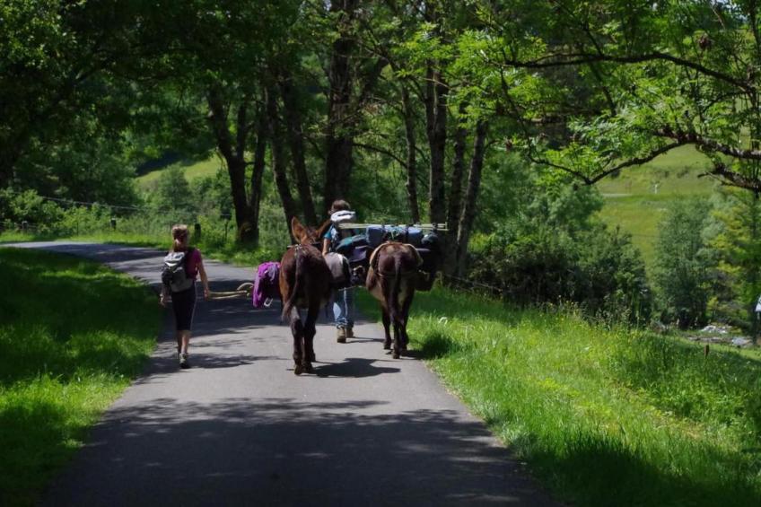 Stardust 40 Family Lodge - foto 20