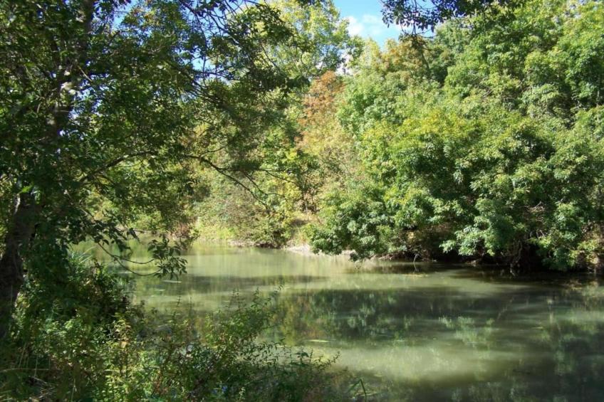 Villa Ravel - foto 30