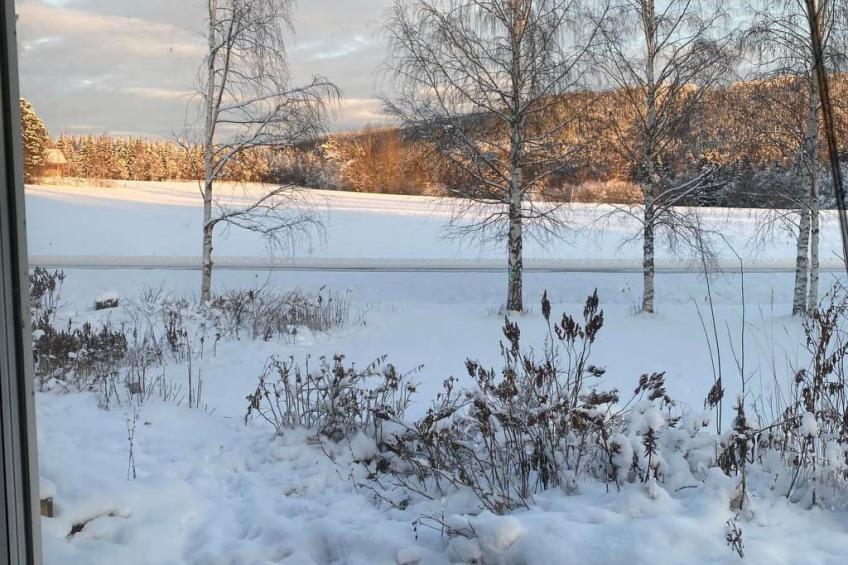 Schöne große "Villa Stolle" 9 Personen 2 Bäder - foto 27