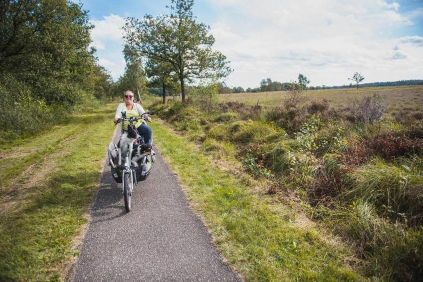 Chaletwoning 1 - foto 35