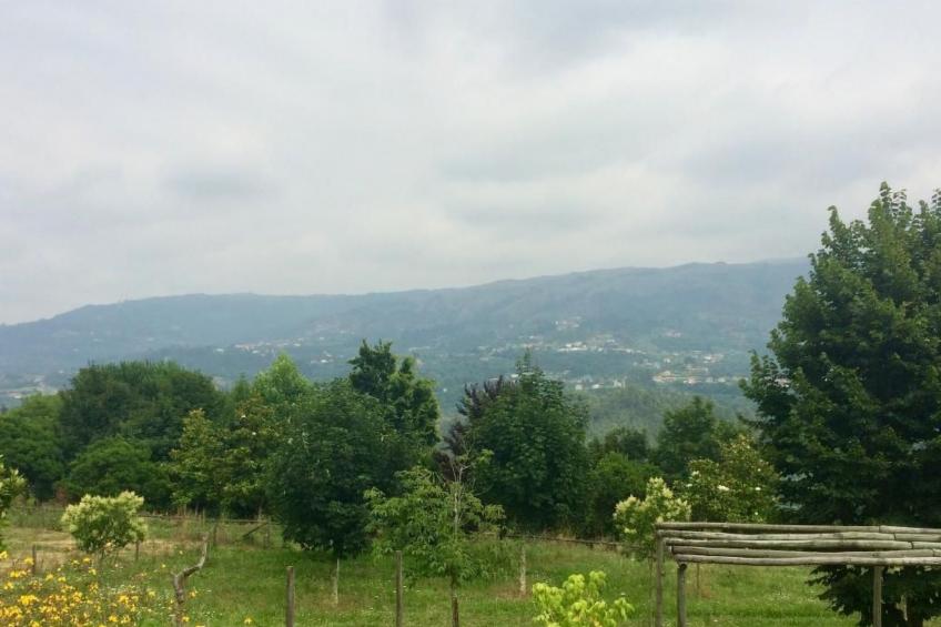 mit Blick auf das Wasser - foto 17