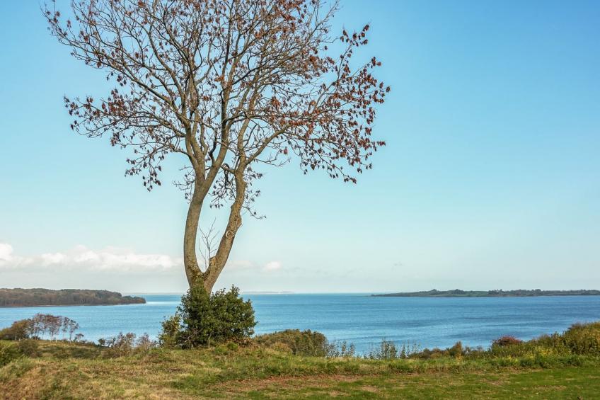 "Boris" - 500m from the sea in SE Jutland - foto 12