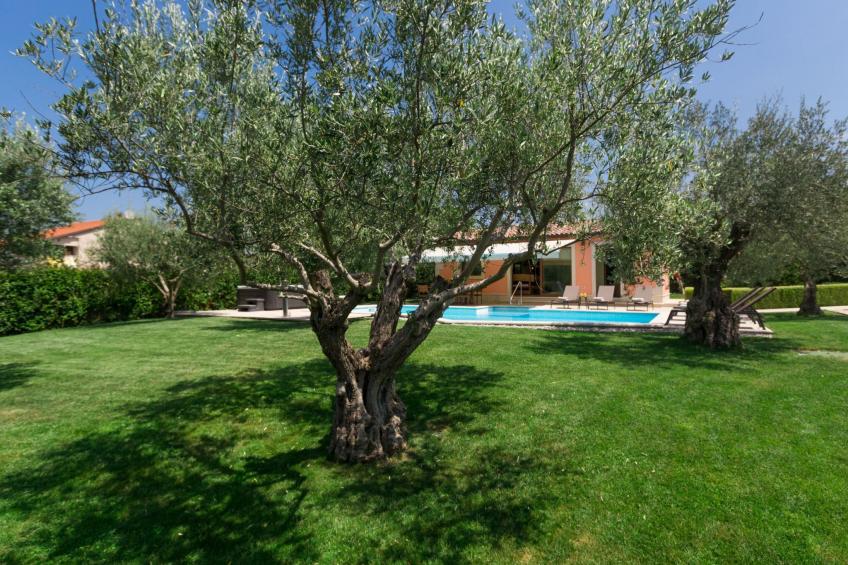 Villa Ulika - foto 4