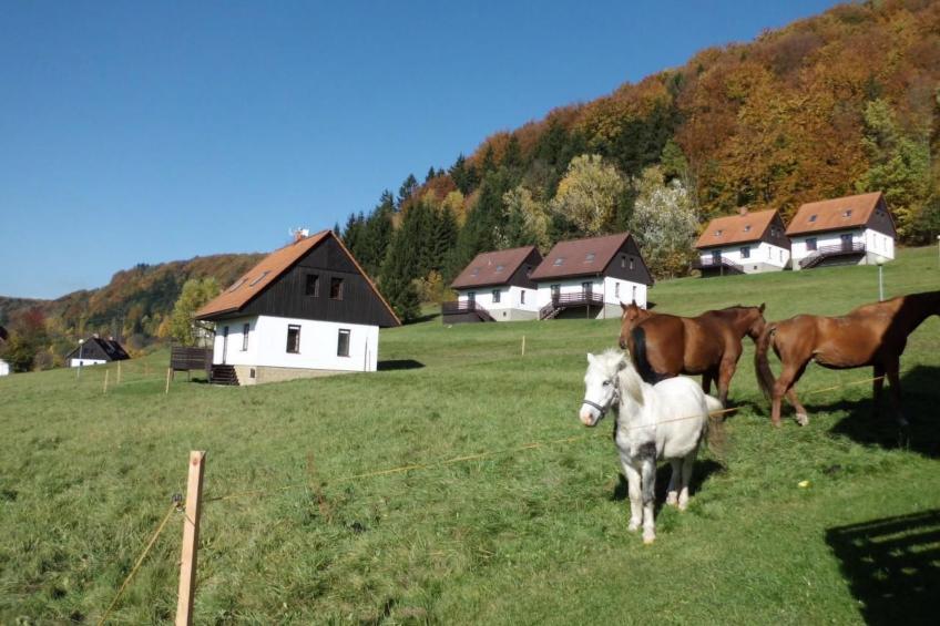 in  Green Valley Park 4 - foto 6