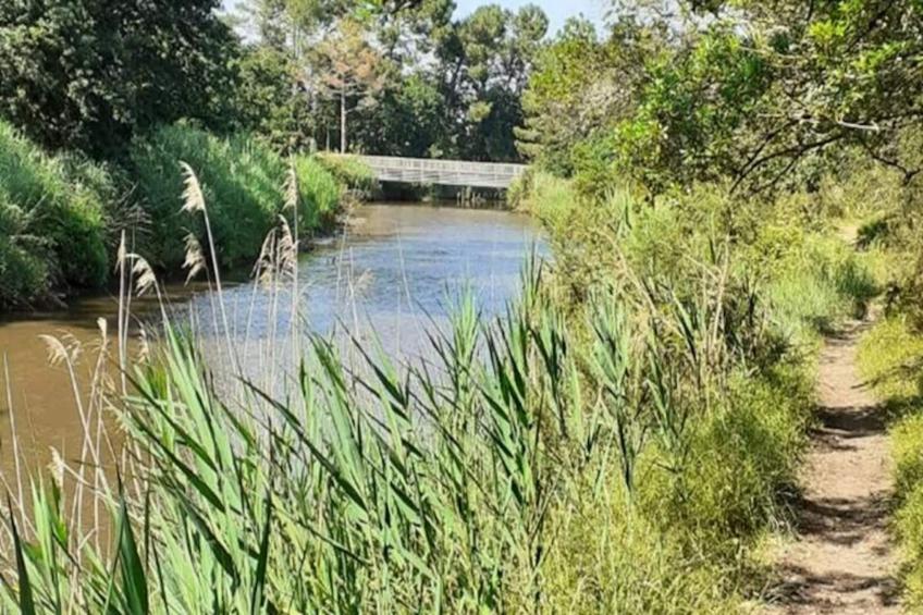 Résidence Paradise Ocean - foto 15