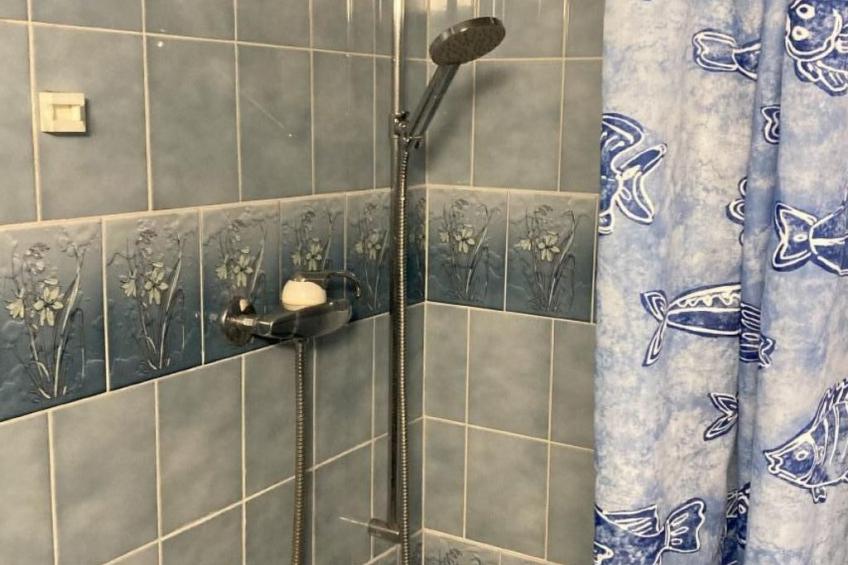 Maiensäss Romantica - foto 46