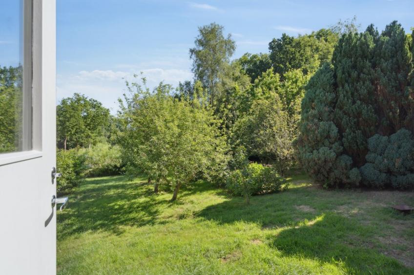 "Self" - 400m to the inlet in The Liim Fiord - foto 12