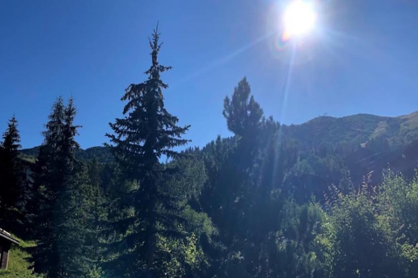 Quartier Crève Cœur - maeva Home - foto 7