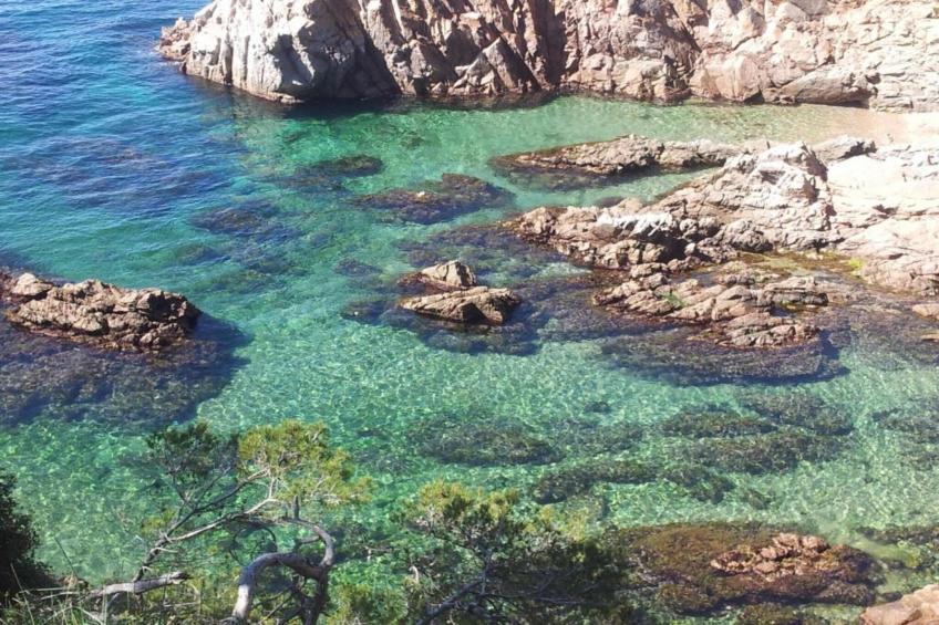 Resort Begur 4 - foto 29