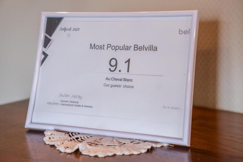 Au Cheval Blanc - foto 31