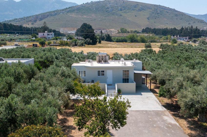 in einem Olivenhain in Strandnähe - foto 33