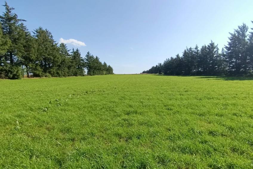 SKÆRBÆKCENTRET - foto 9