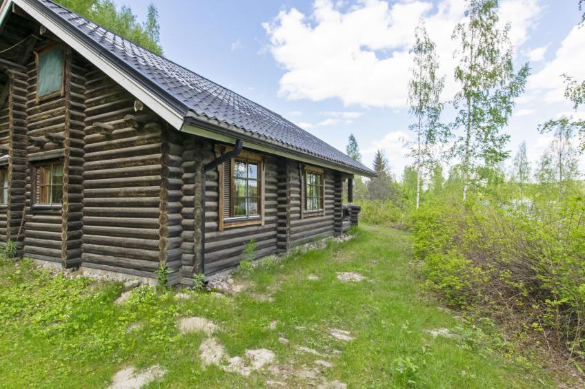 Heinäsorsa - foto 56