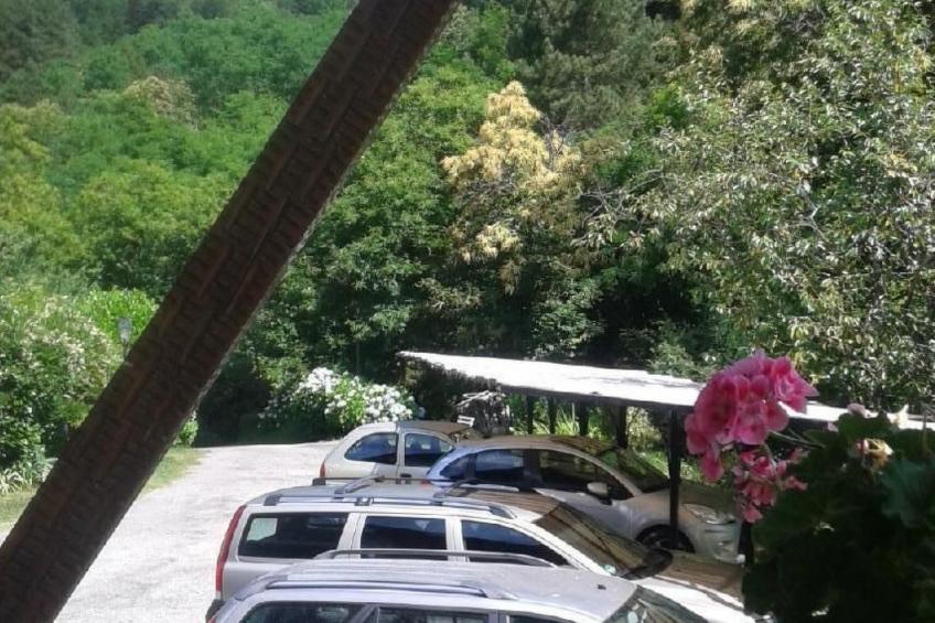 Natur und Entspannung, Villa im Park - foto 7