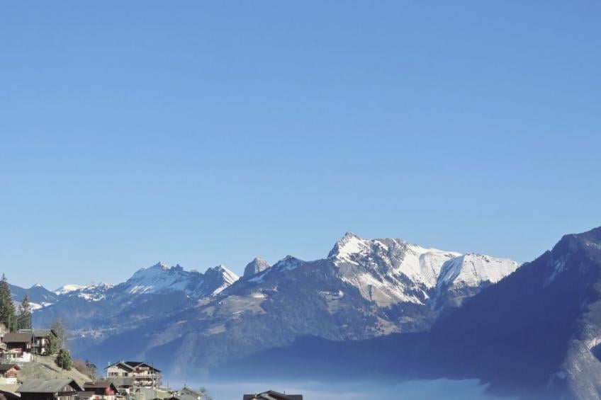 L'Ecrin de Torgon in den Portes du Soleil - foto 26