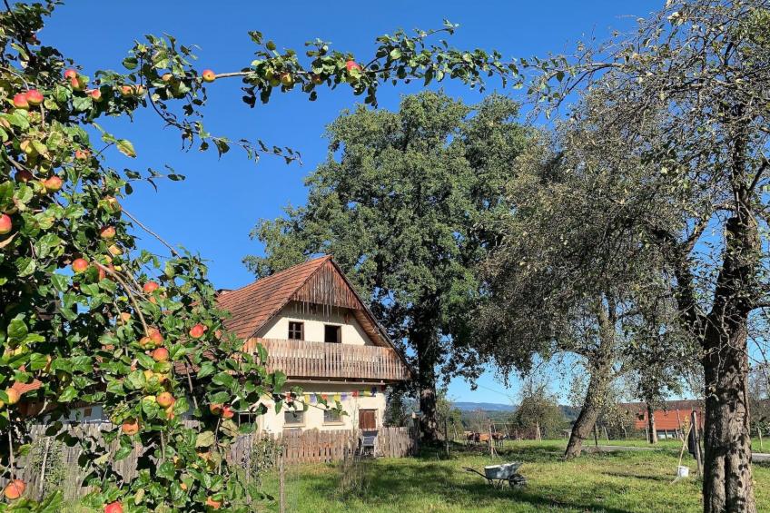 Kellerstöckl am veganen Bio-Lebenshof - Varm - the vegan Farm - foto 21