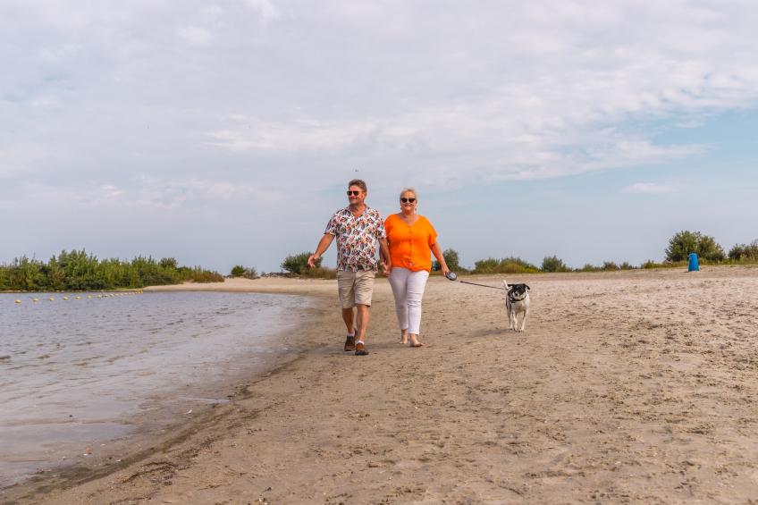 Villavakantiepark IJsselhof - foto 14