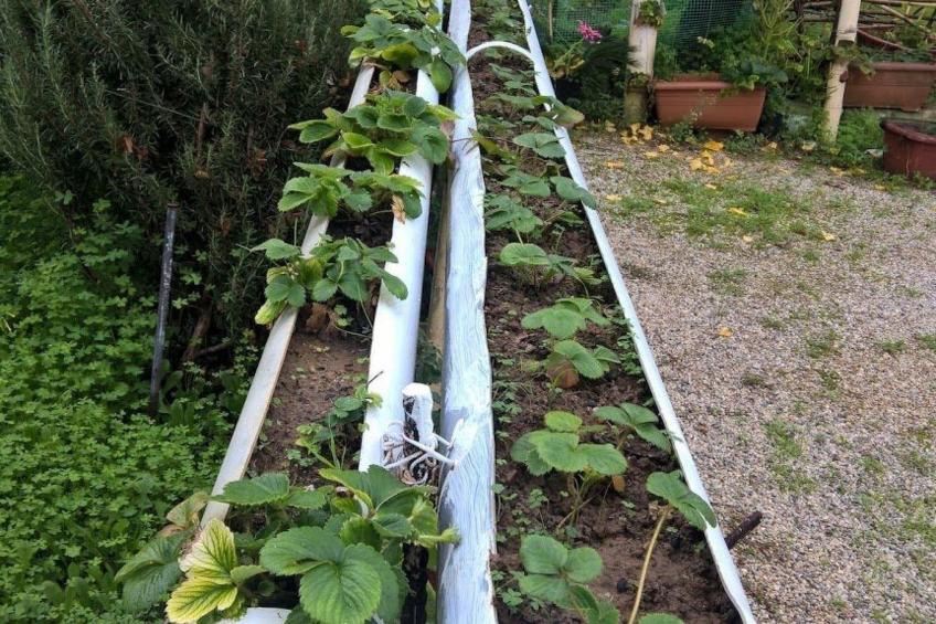 Zinovia Studio mit Balkon - foto 12