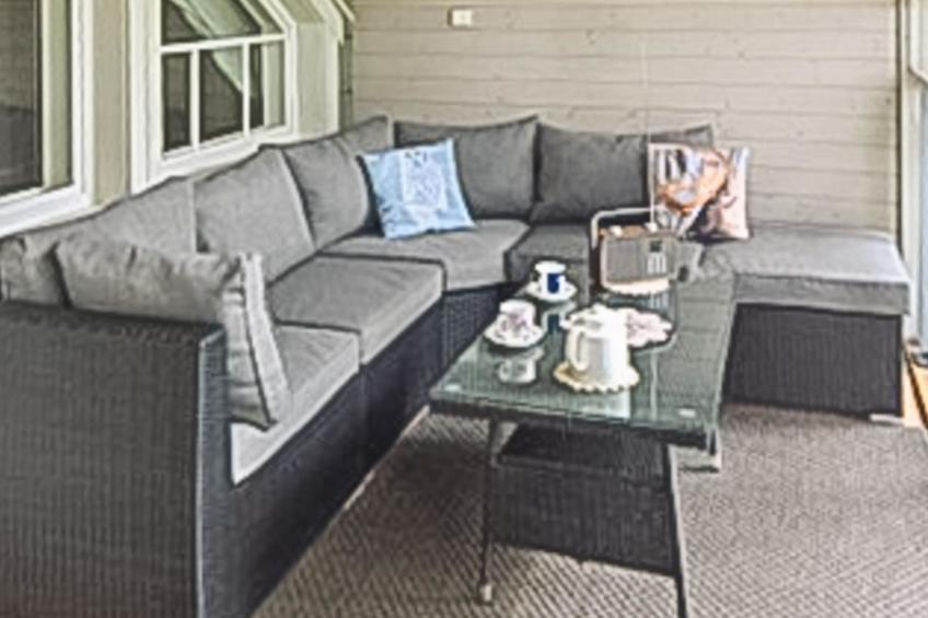 Huvila ferdinand - foto 36