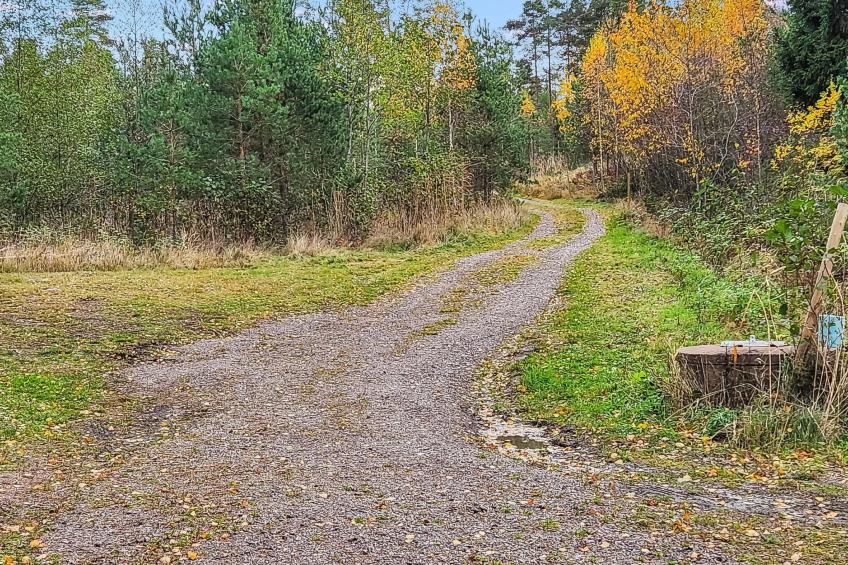 Korvenniemi - foto 28