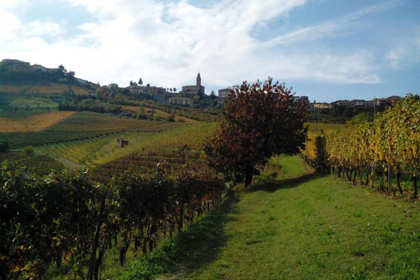 Haus "Badinot" mit privatem Garten und Grill - foto 21